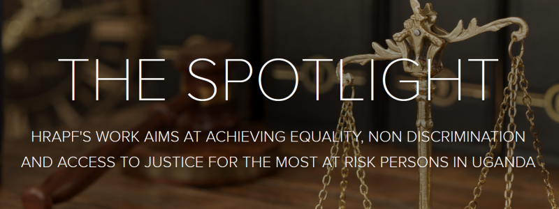 Spotlight q3-2024
