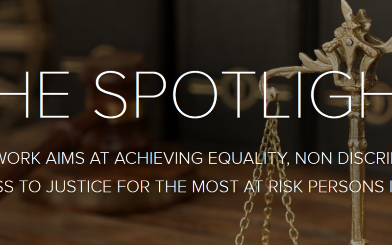 Spotlight q3-2024